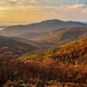 Meet your Posher, Ava